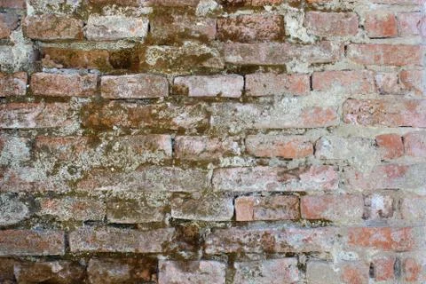 Weathered brick wall texture for your architectural design Foto stock