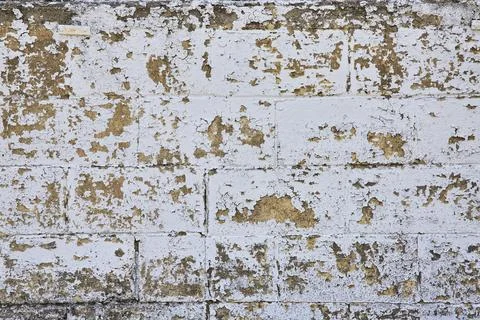 Weathered Brick Wall Textures with Peeling Paint Eye-Level Close-Up Stock Photos
