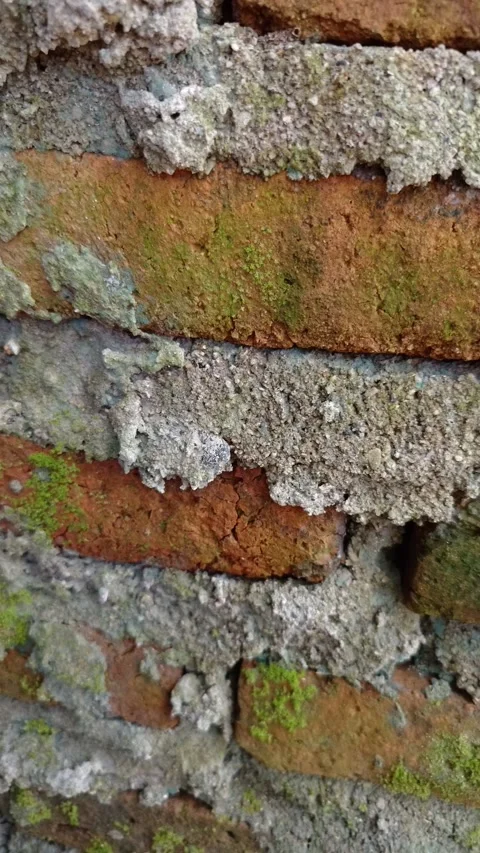Weathered bricks show aged texture and moss growth Stock Footage 330926204