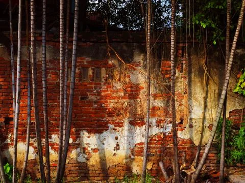Weathered broken brick wall with palm tree trunks Foto stock