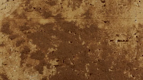 Weathered Brown Porous Masonry Surface Texture Stock Footage 346608394
