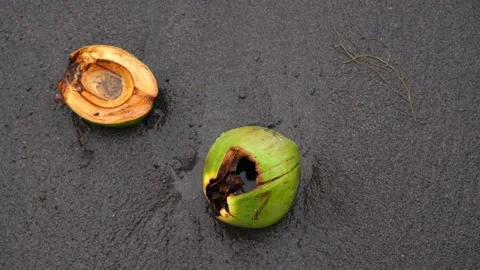 A weathered coconut on the beach is washed by water. Stock-Footage 131073631