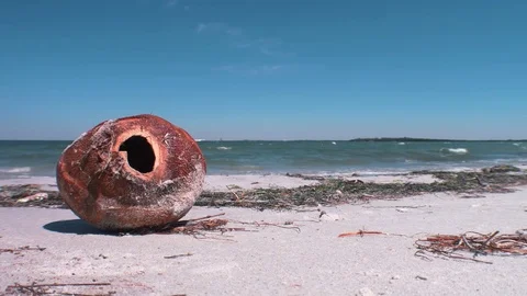 Weathered Coconut Husk on Beach, 4K Stock Footage 70793711