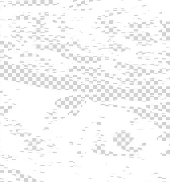 Weathered concrete floor  texture. Worn texture with grain . asphalt surfac.. イラスト素材