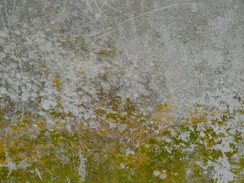 A weathered concrete or stone surface with prominent patches of green and y.. Stock Photos