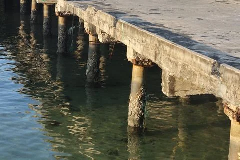 Weathered Concrete Pier Pillars with Barnacles and Water Reflections in Gold Fotos Stock
