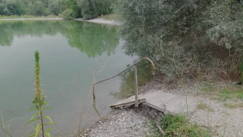 Weathered Concrete Steps Into a Forest Lake, Reeds and Willow Branches Video stock 343027787