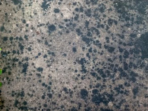 Weathered concrete surface with dark mold or mildew spots, grungy texture b.. Stock Photos