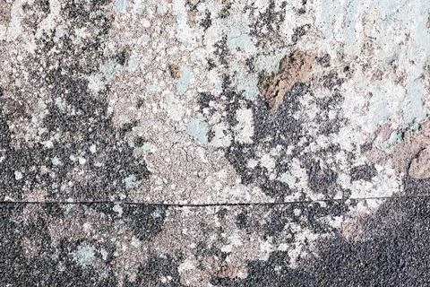 Weathered Concrete Surface with Lichen and Cracks - Abstract Textured Backg.. Foto stock
