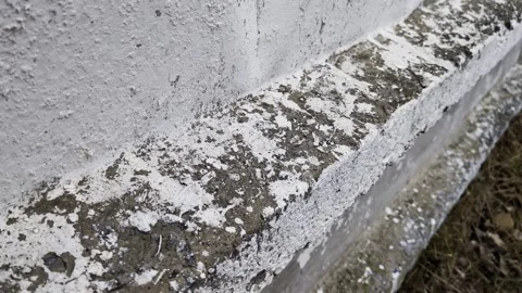 Weathered concrete surface with peeling white paint shows texture and material Stock Footage 344845530