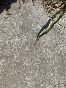 Weathered Concrete Surface Texture Full Frame Detail Stock-Fotos