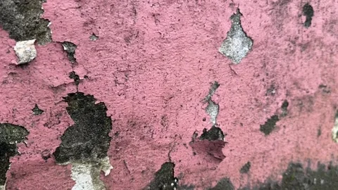 Weathered concrete wall close-up video with peeling pink paint Stock Footage 318711567