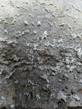 Weathered concrete wall with flaking paint and textured decay Foto stock