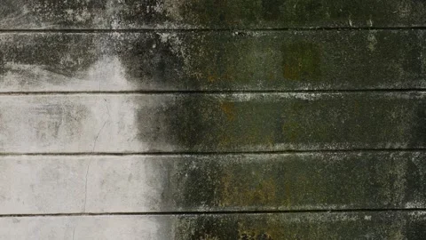 Weathered Concrete Wall with Green Moss and Black Mold Stock Footage 339860053