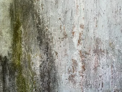 Weathered Concrete Wall with Moss Algae Growth and Rust Stains Grunge Texture Stock Photos