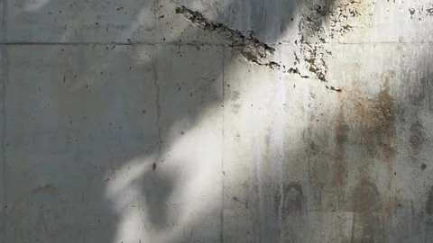 Weathered concrete wall texture with cracks, stains, and peeling surface. Stock Footage 330150085