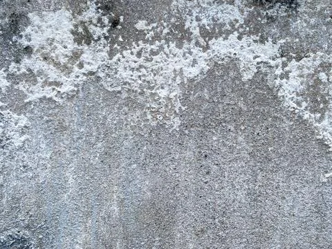 Weathered concrete wall texture with dark mold spots. 스톡 사진