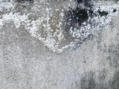 Weathered concrete wall texture with dark mold spots. 스톡 사진