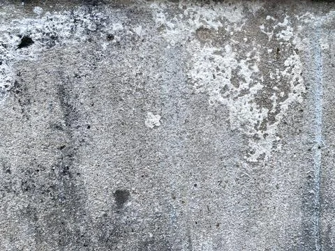 Weathered concrete wall texture with dark mold spots. Stock Photos
