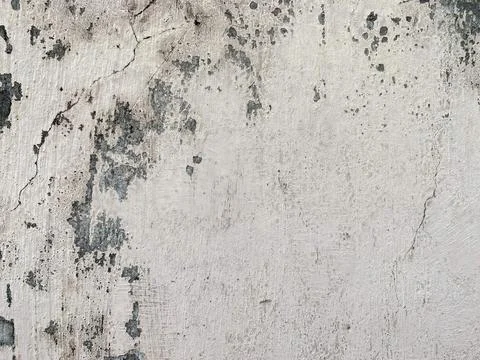 Weathered concrete wall texture with dark mold spots. 스톡 사진