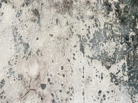 Weathered concrete wall texture with dark mold spots. Stock-Fotos
