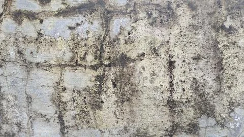 Weathered concrete wall texture with dark rust stains and grunge 스톡 사진