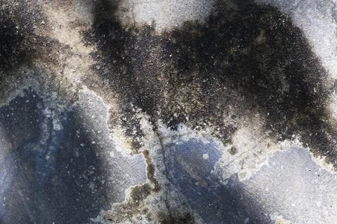 Weathered concrete wall texture with dark mold and moisture stains Stock Photos