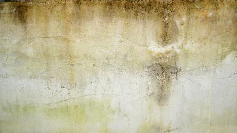 Weathered concrete wall texture with stains, cracks and subtle greenish pat.. Fotos de archivo