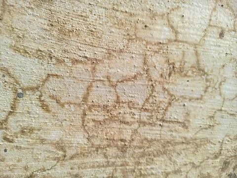 Weathered Cracked Cement Surface Pattern Stock Photos