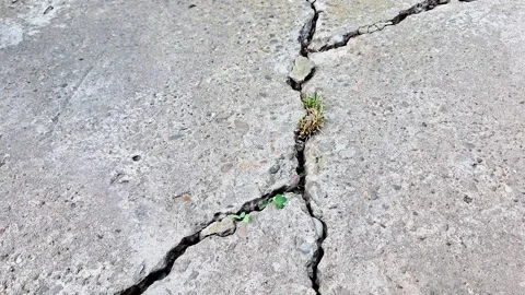 Weathered Cracked Concrete Pavement Surface with Fracture Lines Stock Footage 339758800