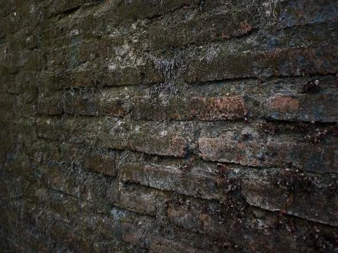 Weathered Dark Brick Wall Texture with Green Moss Growth Stock Photos