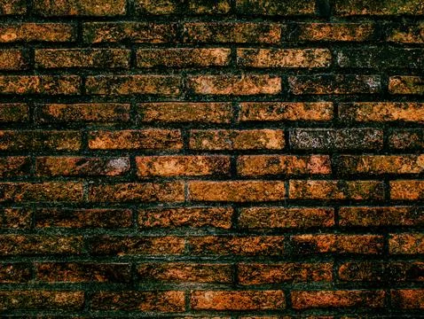 Weathered Dark Orange Brick Wall Texture Background with Moss and Aging Stock Photos