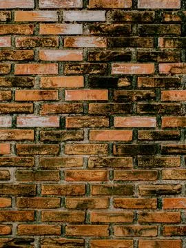Weathered Dark Orange Brick Wall Texture Background with Moss and Aging Stock Photos