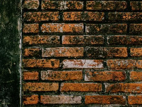 Weathered Dark Orange Brick Wall Texture Background with Moss and Aging Stock Photos