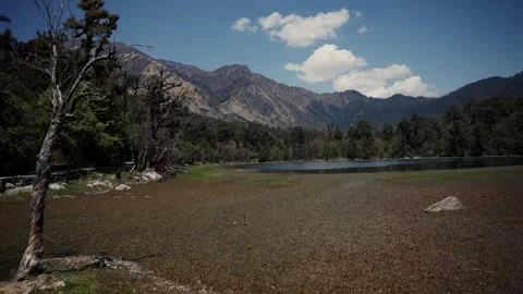 Weathered dead tree beside a still Himalayan lake with dry mountain ridge and Stock Footage 343141441