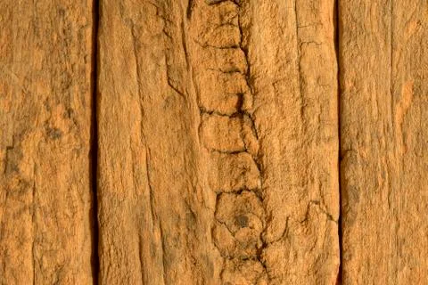 Weathered demolition wood section texture detail Stock Photos