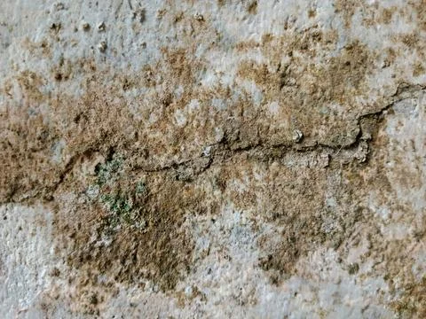 Weathered Dirty Wall Texture with Crack and Moss Close Up 스톡 사진