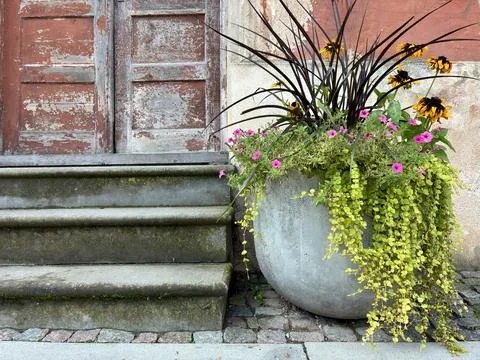 Weathered Door and Rustic Steps with Concrete Flower Pot Stock Photos
