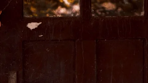 Weathered Door with Rust and Spider Webs Stock Footage 303004792
