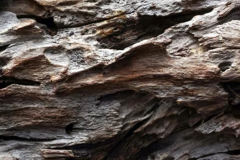 Weathered Driftwood Texture for Rustic Design and Artistic Inspiration Stock Photos