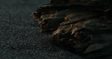 Weathered Driftwood on Textured Sandy Beach. Stock Footage 273572548