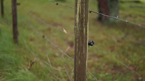 Weathered fence post with barbed wire stretching through grassy rural pasture in Stock Footage 344773383