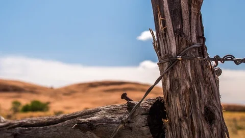 Weathered Fence Post in the Desert Stock Footage 88193104