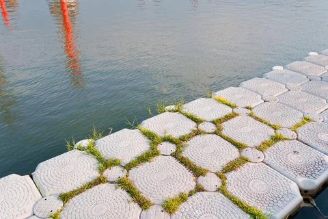 Weathered Floating Dock Tiles with Grass Emerging Along Quiet Water Edge Stock Photos