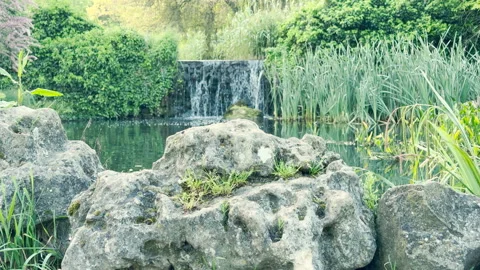Weathered Garden Rocks Sit before a Small Cascading Waterfall and Calm Pond Stock Footage 335306217