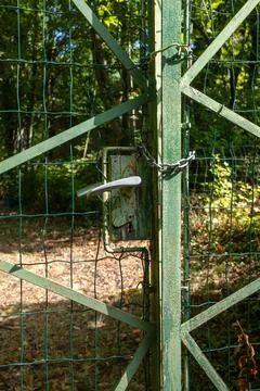 Weathered Gate in the Woods Stock Photos
