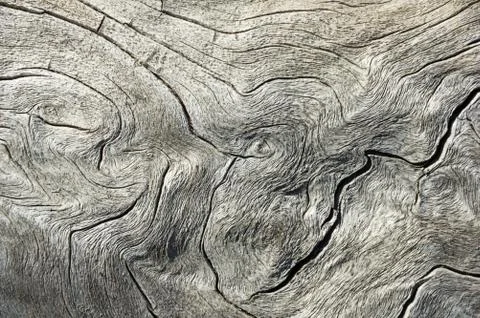 Weathered Gray Contorted Wood Background Stock Photos