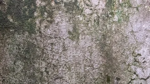 Weathered Gray Stone Wall Texture Clip 库存影片 332104754