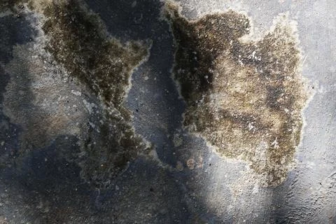Weathered grey concrete wall texture with dark damp mossy patches Stock Photos