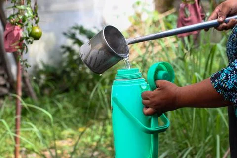 Weathered hands pouring steaming hot water 库存照片
